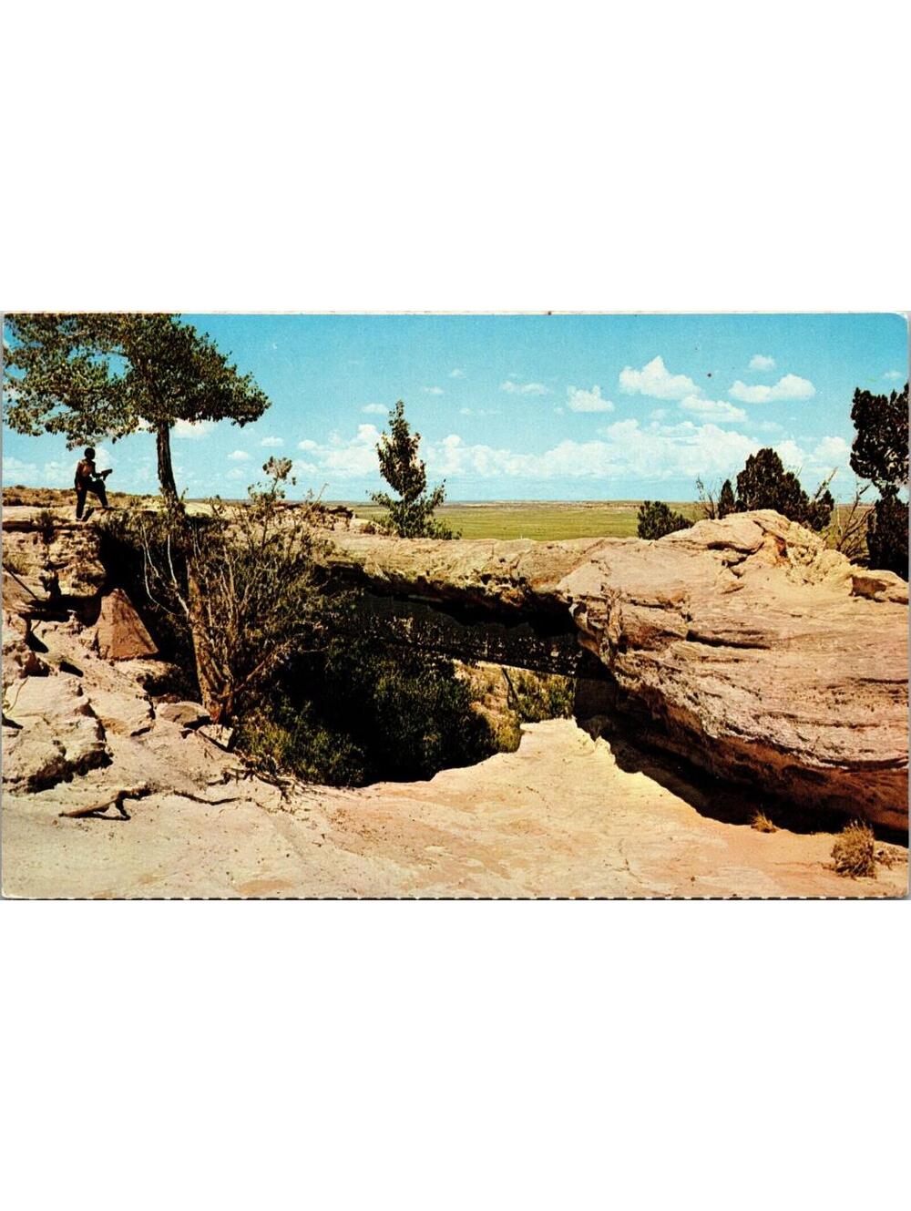 Agate Bridge Petrified Forest National Monument Arizona Postcard